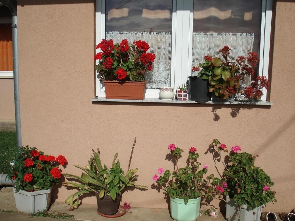 Rooms Marica Selište Drežničko Exterior foto